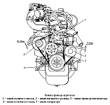 Расположение и величина допустимого прогиба ремней привода вентилятора и привода водяного насоса и генератора на двигателе УМЗ-4216