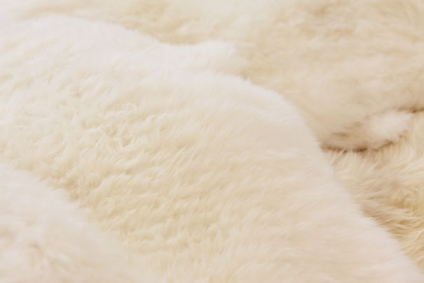 Чистка овчины в домашних условиях: тулуп, чехлы, шкура, белая овчина